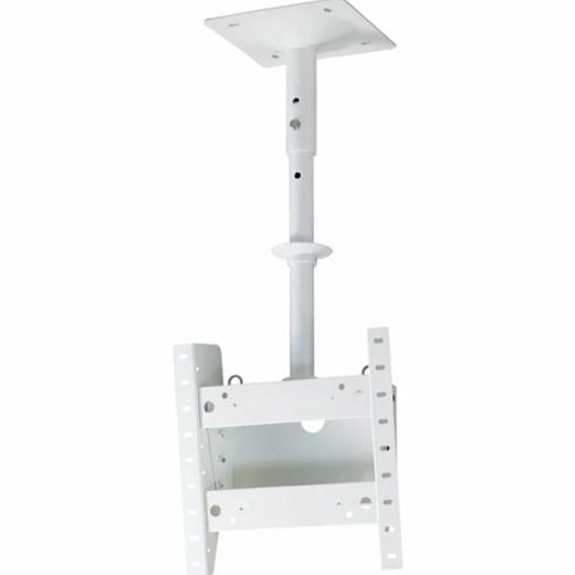 AURORA 70C`fBXvCΉV݂nK[tW/pCv(400mm)Zbg 