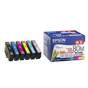 EPSON IC6CL80M